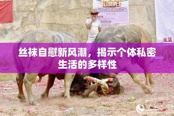 丝袜自慰新风潮，揭示个体私密生活的多样性