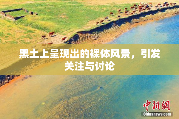 黑土上呈现出的裸体风景，引发关注与讨论