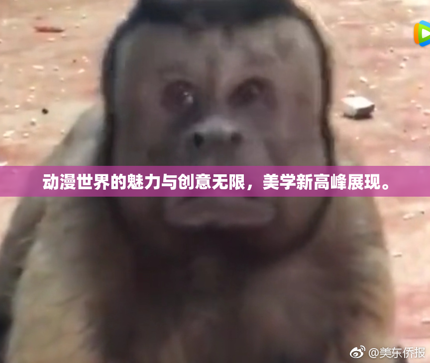 动漫世界的魅力与创意无限，美学新高峰展现。