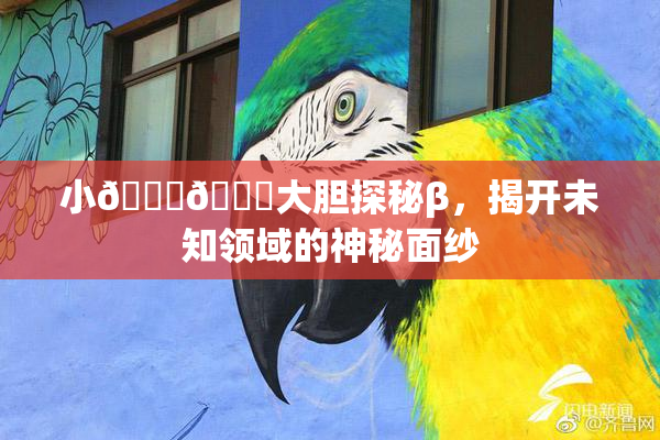 小🐔🐔大胆探秘β，揭开未知领域的神秘面纱