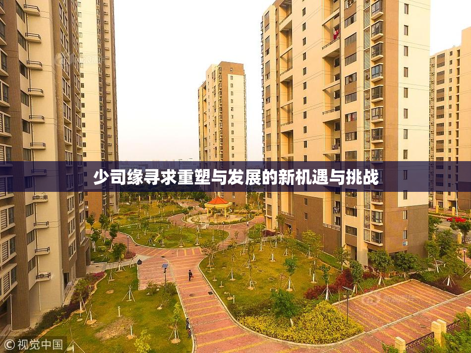 少司缘寻求重塑与发展的新机遇与挑战