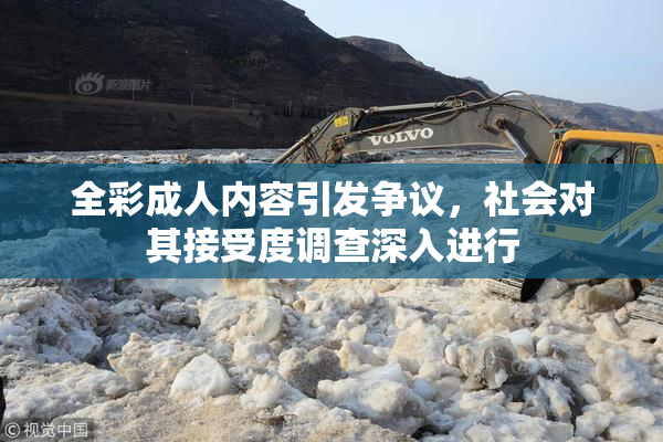全彩成人内容引发争议，社会对其接受度调查深入进行