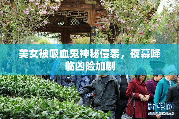 美女被吸血鬼神秘侵袭，夜幕降临凶险加剧