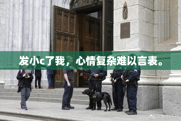 发小c了我，心情复杂难以言表。