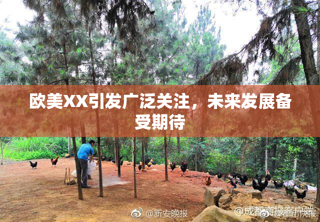 欧美XX引发广泛关注，未来发展备受期待