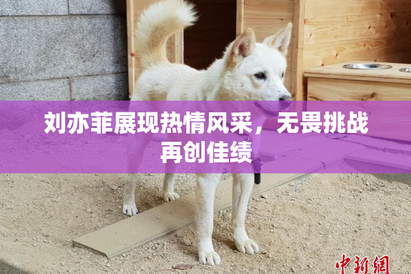 刘亦菲展现热情风采，无畏挑战再创佳绩
