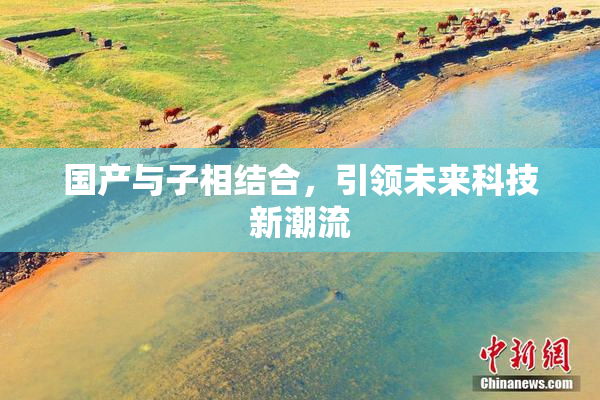 国产与子相结合，引领未来科技新潮流
