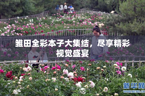 雏田全彩本子大集结，尽享精彩视觉盛宴