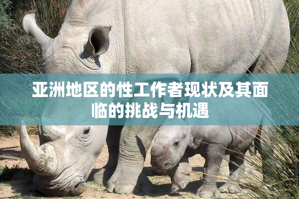 亚洲地区的性工作者现状及其面临的挑战与机遇