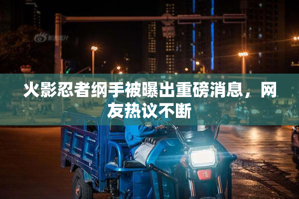 火影忍者纲手被曝出重磅消息，网友热议不断