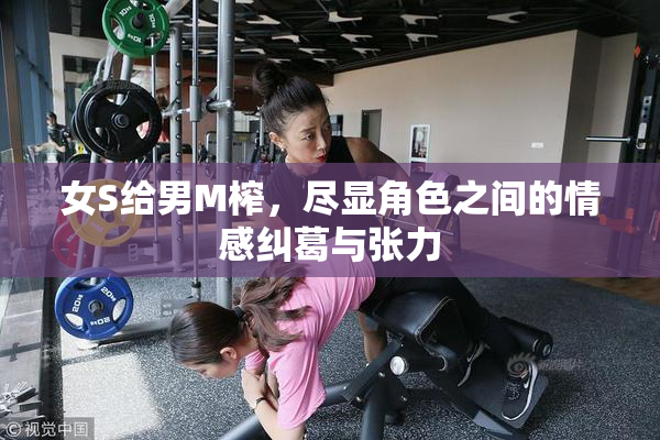 女S给男M榨，尽显角色之间的情感纠葛与张力