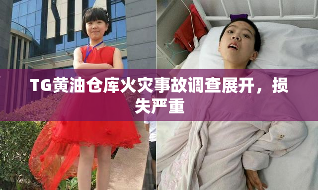 TG黄油仓库火灾事故调查展开，损失严重