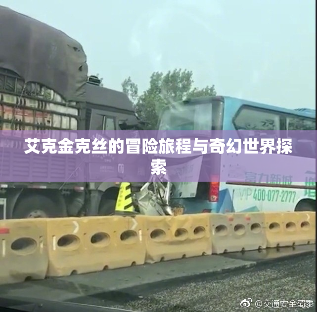 艾克金克丝的冒险旅程与奇幻世界探索