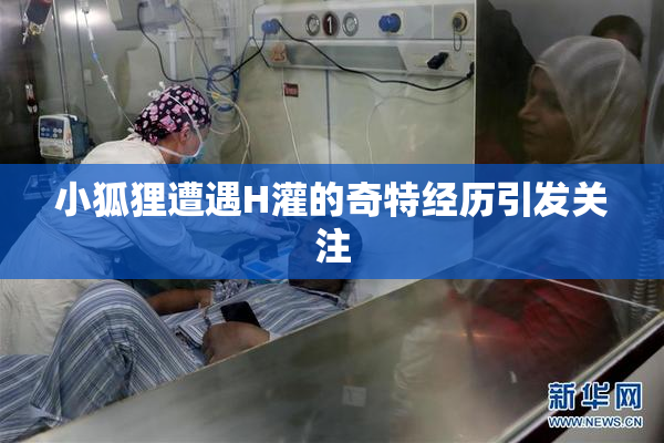 小狐狸遭遇H灌的奇特经历引发关注