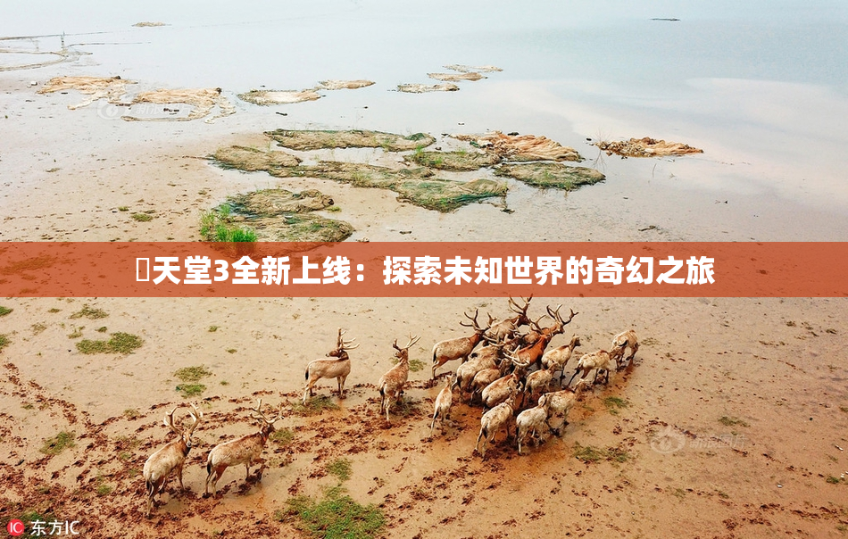 妺天堂3全新上线：探索未知世界的奇幻之旅
