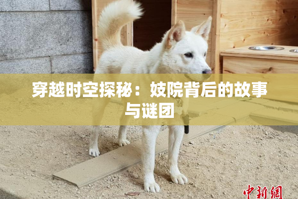 穿越时空探秘：妓院背后的故事与谜团
