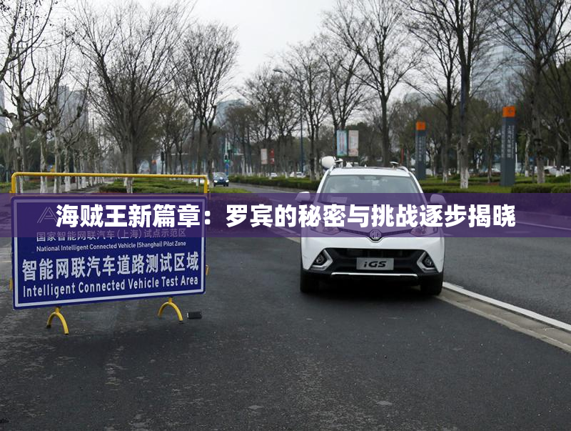 海贼王新篇章：罗宾的秘密与挑战逐步揭晓