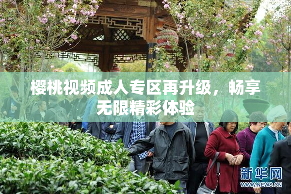 樱桃视频成人专区再升级，畅享无限精彩体验