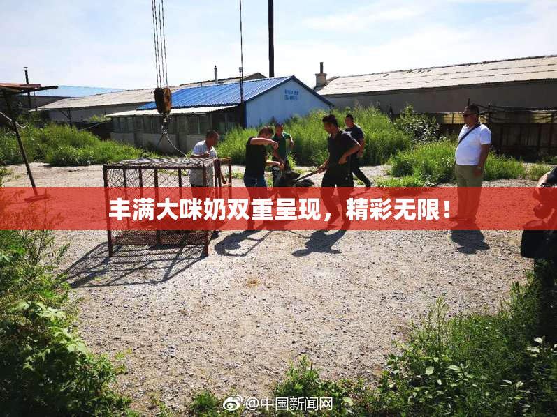 丰满大咪奶双重呈现，精彩无限！