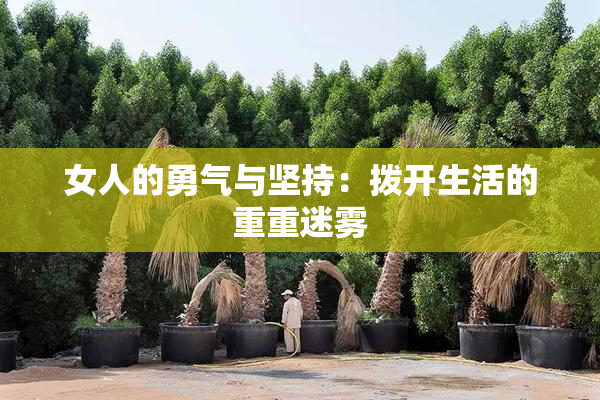 女人的勇气与坚持：拨开生活的重重迷雾