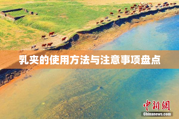 乳夹的使用方法与注意事项盘点