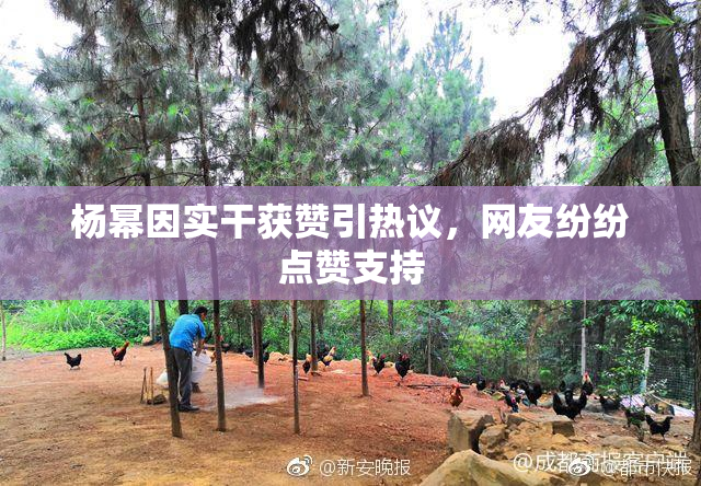 杨幂因实干获赞引热议，网友纷纷点赞支持