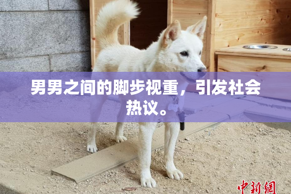男男之间的脚步视重，引发社会热议。