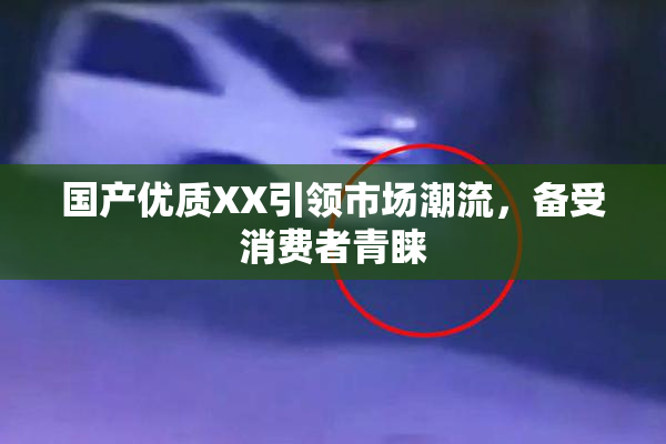 国产优质XX引领市场潮流，备受消费者青睐