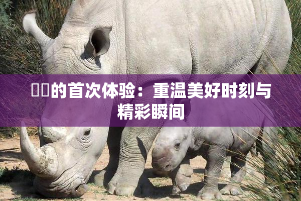 妺妺的首次体验：重温美好时刻与精彩瞬间