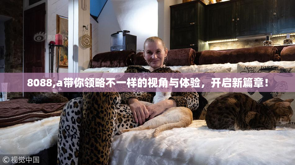 8088,a带你领略不一样的视角与体验，开启新篇章！