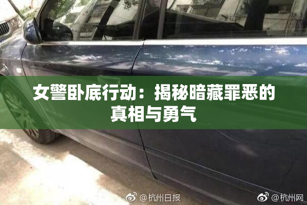 女警卧底行动：揭秘暗藏罪恶的真相与勇气