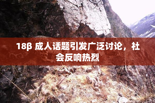 18β 成人话题引发广泛讨论，社会反响热烈