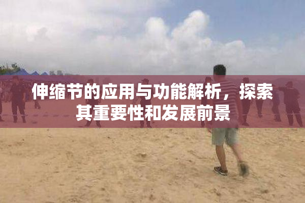 伸缩节的应用与功能解析，探索其重要性和发展前景