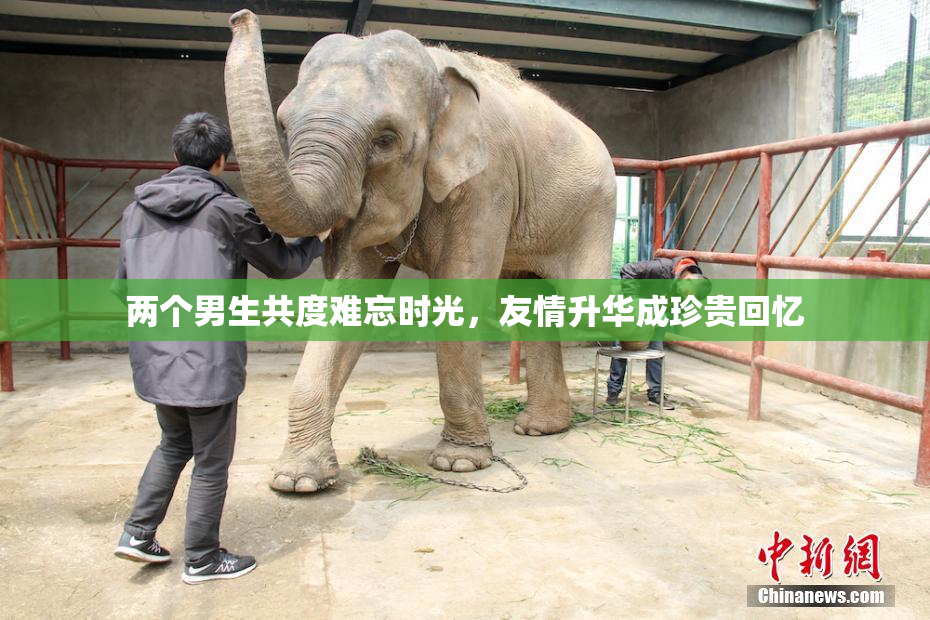 两个男生共度难忘时光，友情升华成珍贵回忆