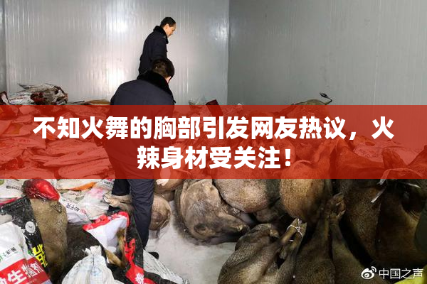 不知火舞的胸部引发网友热议，火辣身材受关注！
