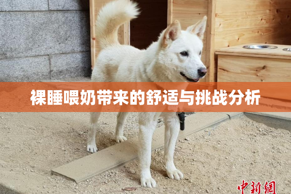 裸睡喂奶带来的舒适与挑战分析