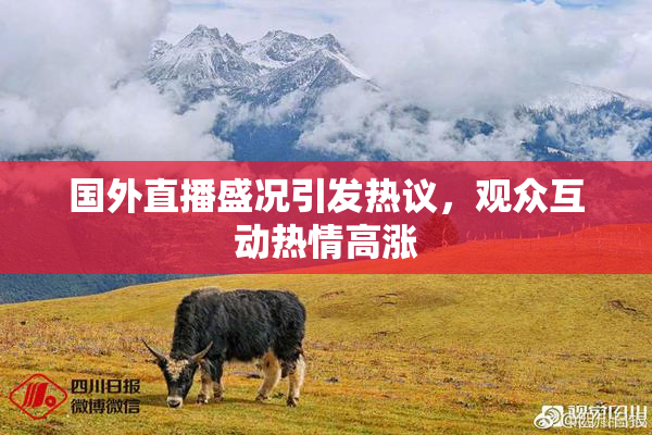 国外直播盛况引发热议，观众互动热情高涨