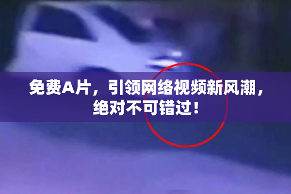免费A片，引领网络视频新风潮，绝对不可错过！