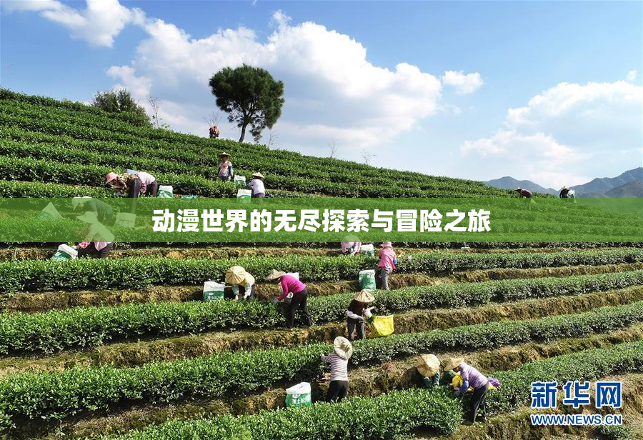 动漫世界的无尽探索与冒险之旅