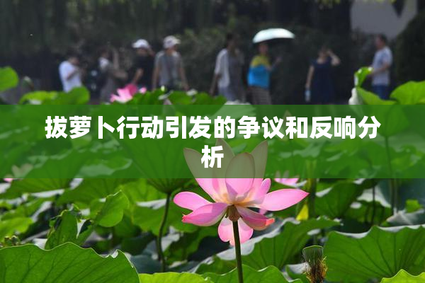 拔萝卜行动引发的争议和反响分析