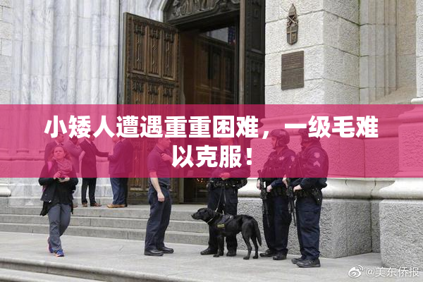小矮人遭遇重重困难，一级毛难以克服！
