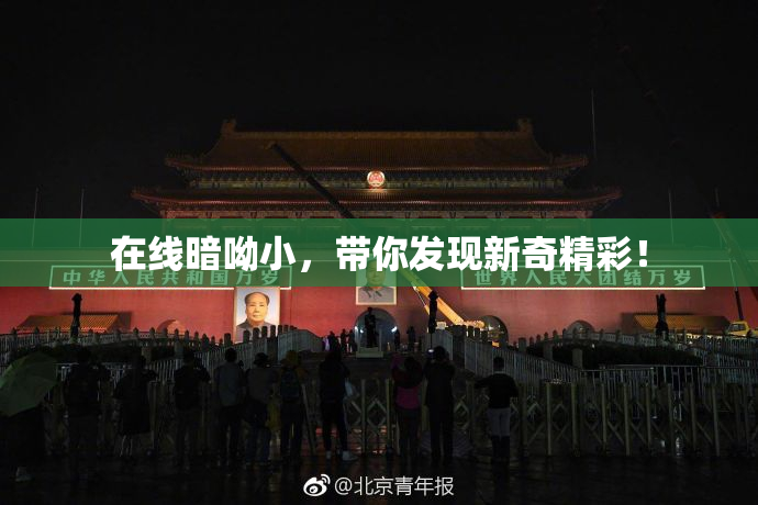 在线暗呦小，带你发现新奇精彩！