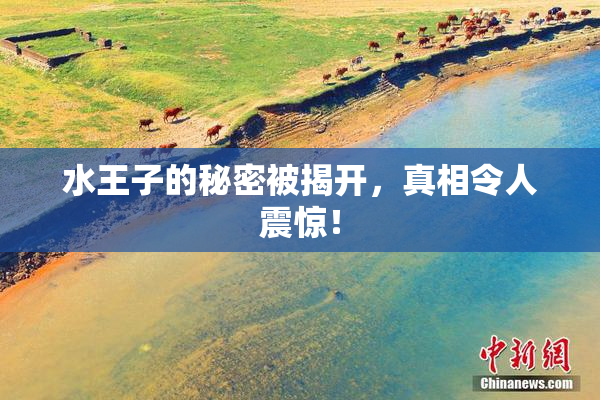 水王子的秘密被揭开，真相令人震惊！