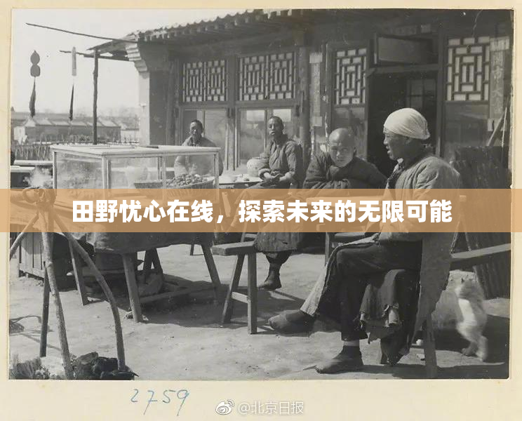 田野忧心在线，探索未来的无限可能