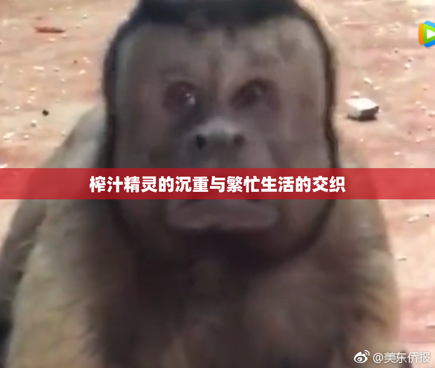 榨汁精灵的沉重与繁忙生活的交织