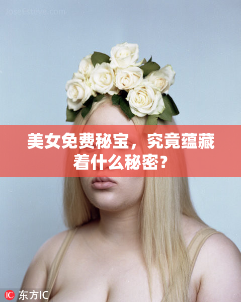 美女免费秘宝，究竟蕴藏着什么秘密？
