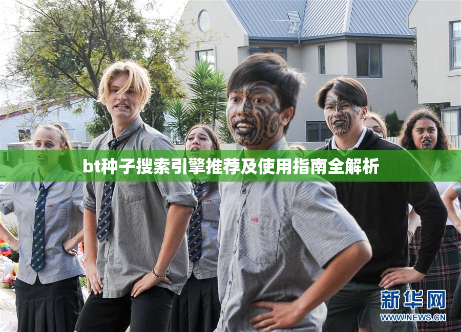 bt种子搜索引擎推荐及使用指南全解析