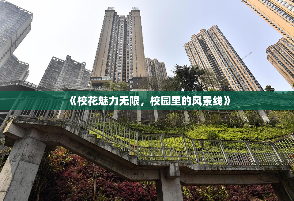 《校花魅力无限，校园里的风景线》