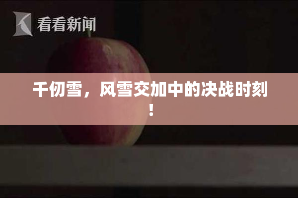 千仞雪，风雪交加中的决战时刻！