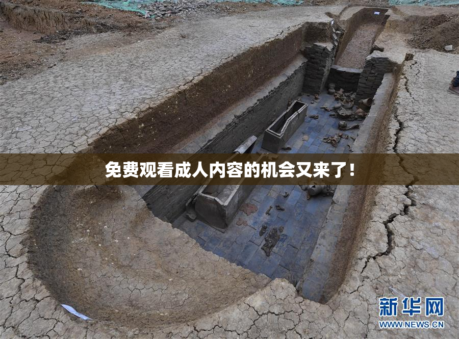 免费观看成人内容的机会又来了！